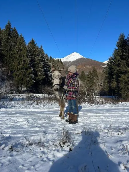 Passeggiata con l' asino