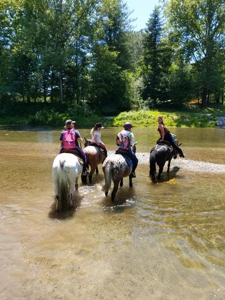 Passeggiata a cavallo sul lago di Viverone