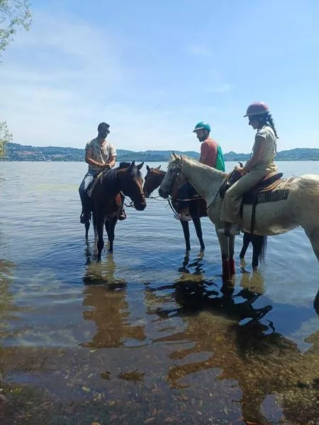 Passeggiata a cavallo sul lago di Viverone