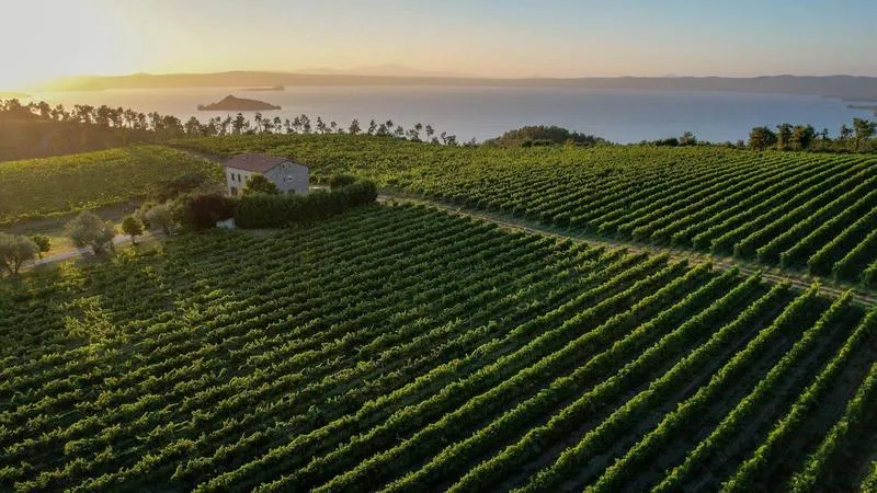 Degustazione vini con visita guidata all'Antica Cantina Leonardi vicino al Lago di Bolsena