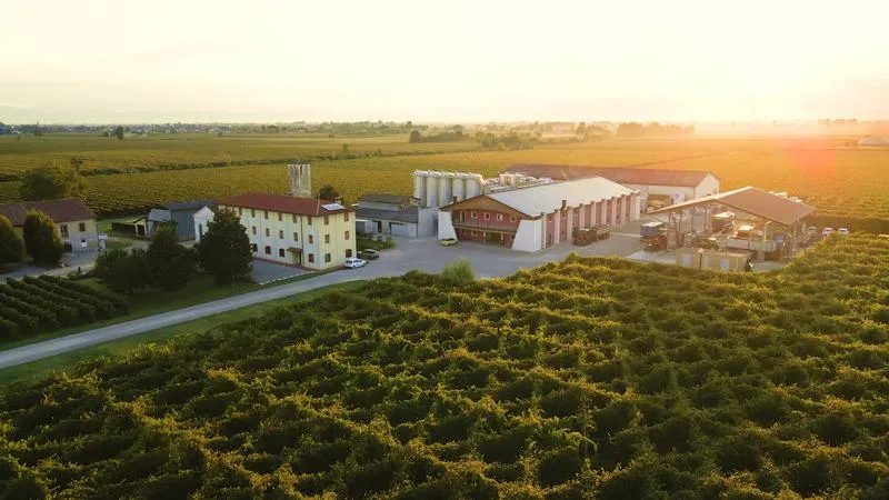 Wine tasting and visit to Ca' di Rajo Winery in the province of Treviso