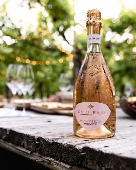 Degustazione di 4 vini autoctoni del Piave (Copia) (Copia)