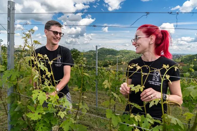 Visita e degustazione di vini della Cantina Roggero nel Monferrato