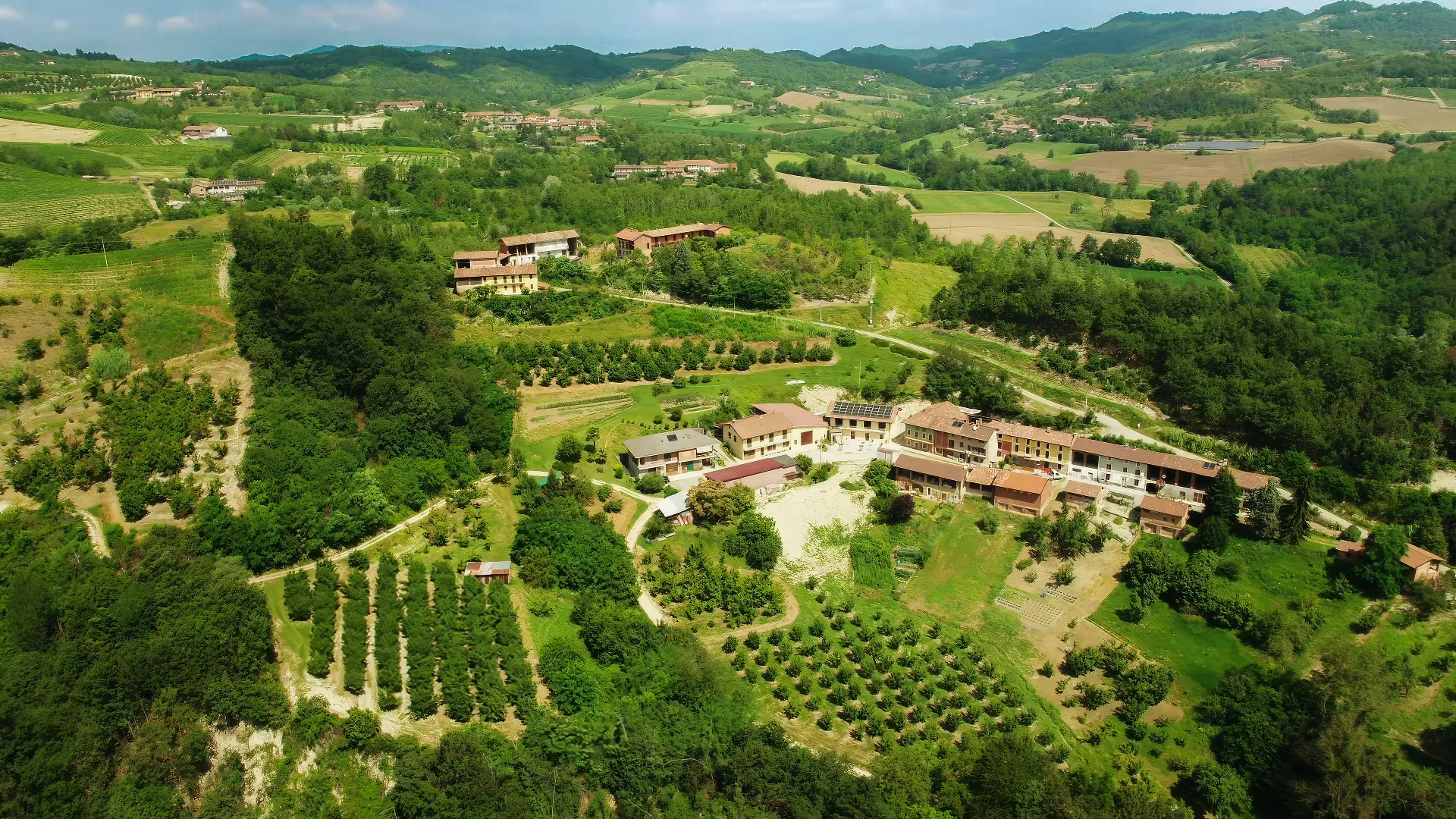 Visita e degustazione di vini della Cantina Roggero nel Monferrato