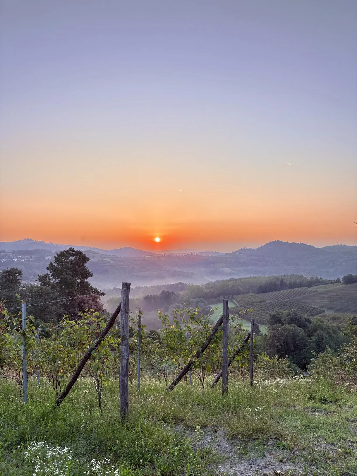 Visita e degustazione di vini della Cantina Roggero nel Monferrato