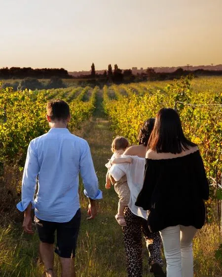 Degustazione vini con visita ai vigneti in provincia di Latina