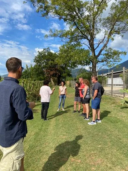 Degustazione vini e pranzo con visita in cantina nella Piana di Fondi