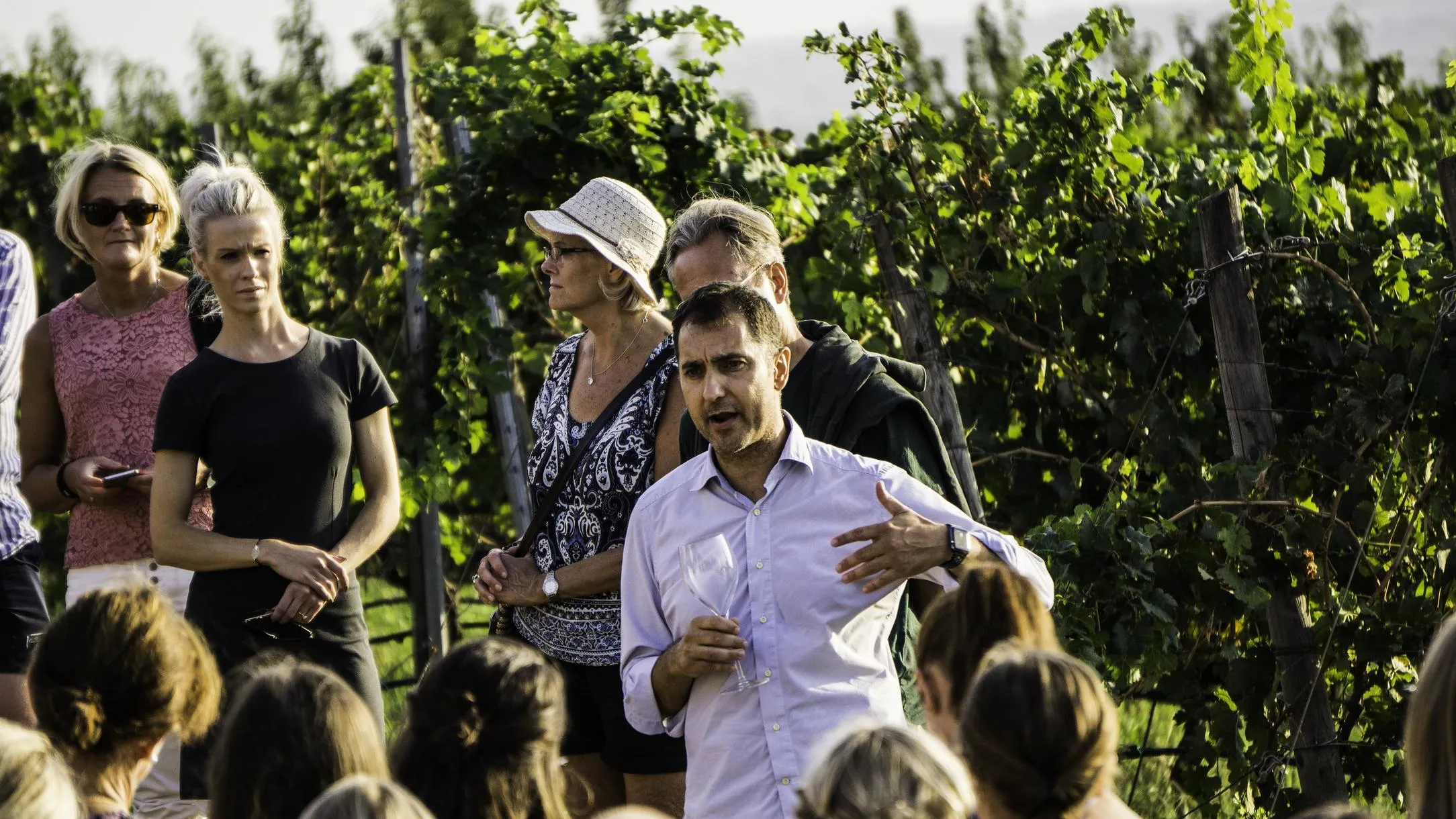 Degustazione vini con visita alla cantina La Luna del Casale ai Castelli Romani