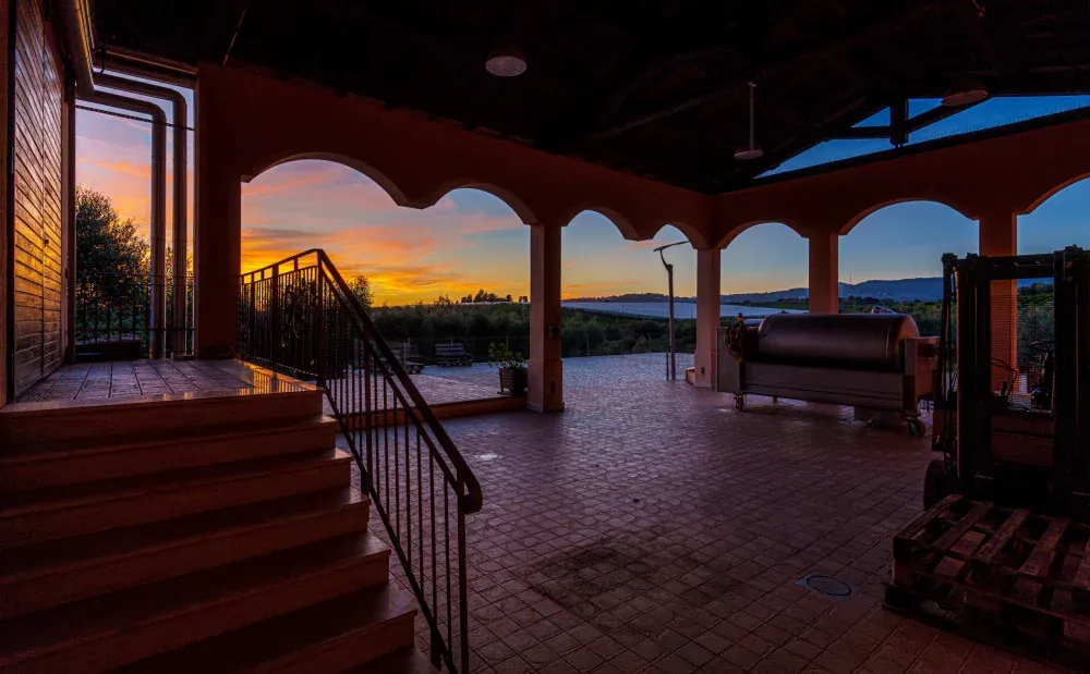 Degustazione vini con visita alla cantina La Luna del Casale ai Castelli Romani