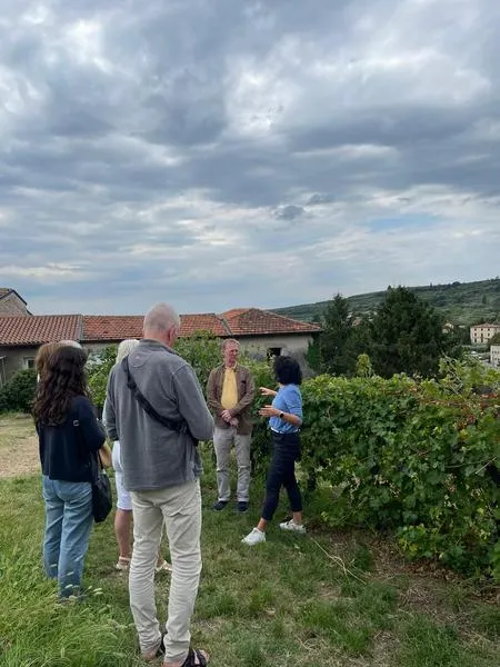 Wine tasting with a visit to the Corte Archi Winery in Marano di Valpolicella