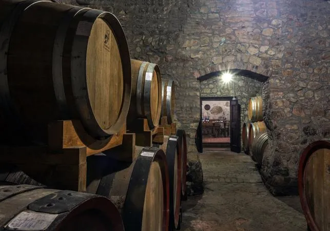 Degustazione vini con visita alla Cantina Corte Archi a Marano di Valpolicella
