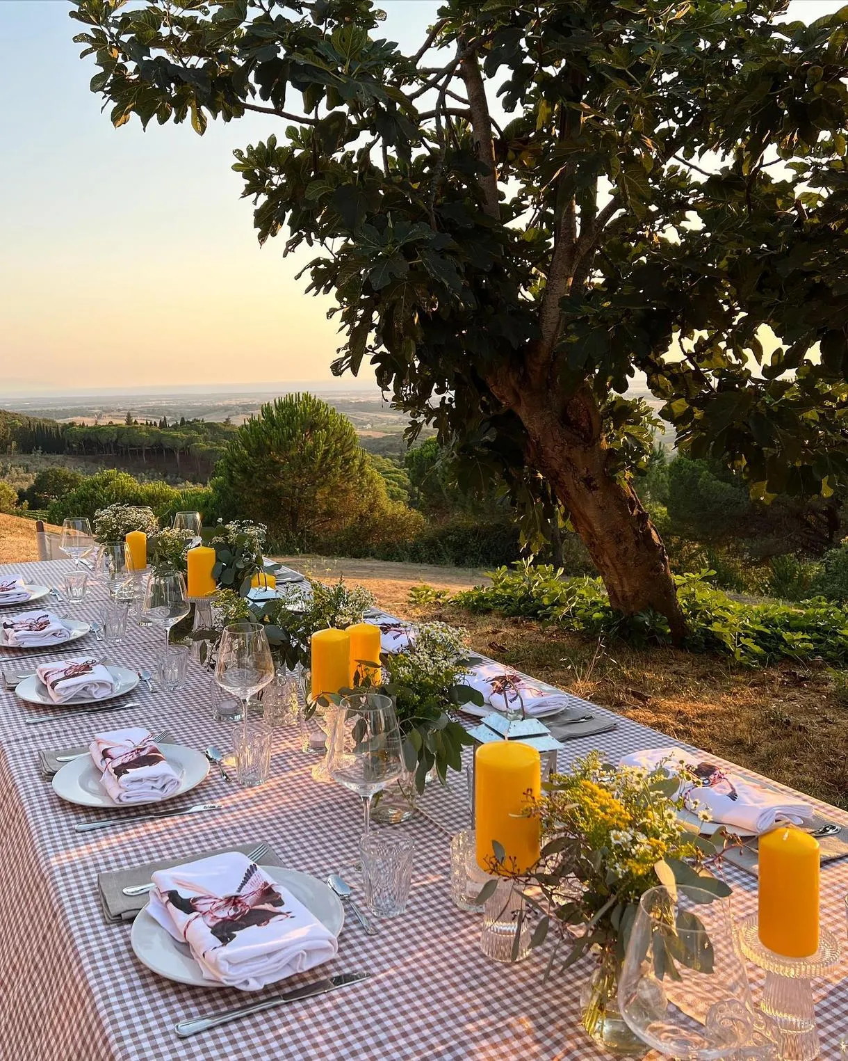 Degustazione di vino e olio con visita guidata dell'Azienda Agricola Toscani
