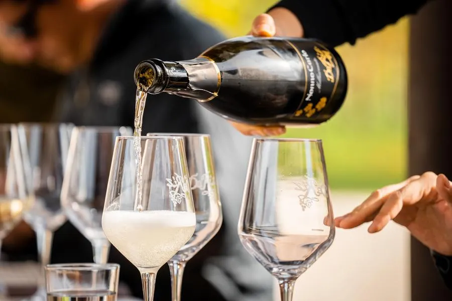 Degustazione di Prosecco e visita alla Cantina De Riz a San Pietro di Feletto