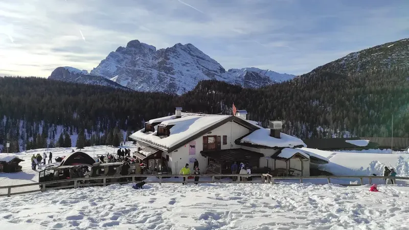 Giro in motoslitta e pranzo a Malga Rin Bianco