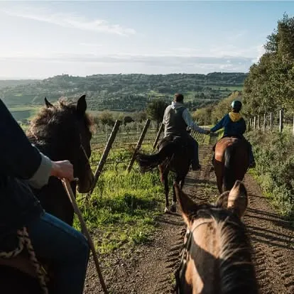 Horseback riding in the hills of Maremma Pisana