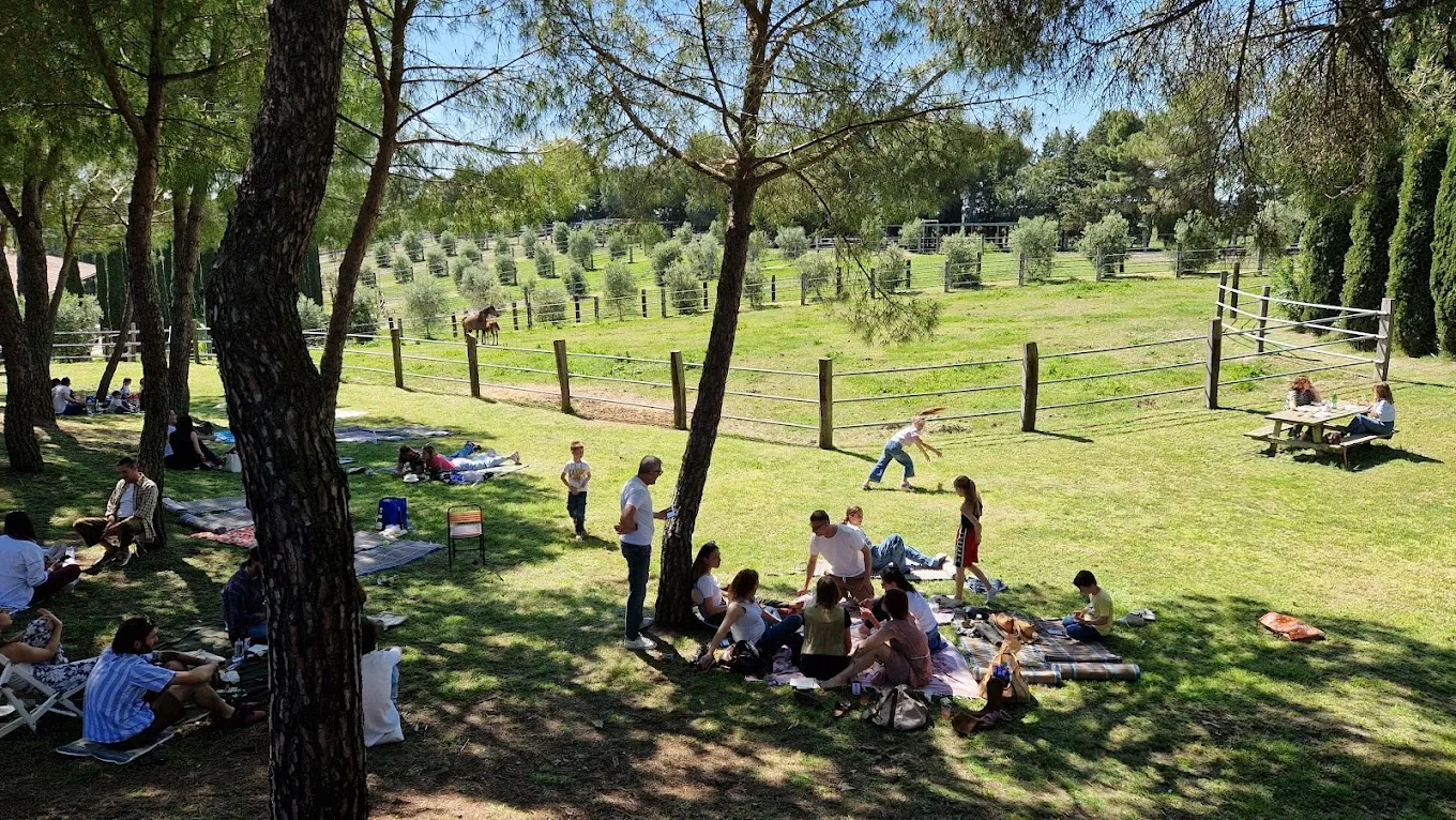 Passeggiata a cavallo sulle colline della Maremma Pisana