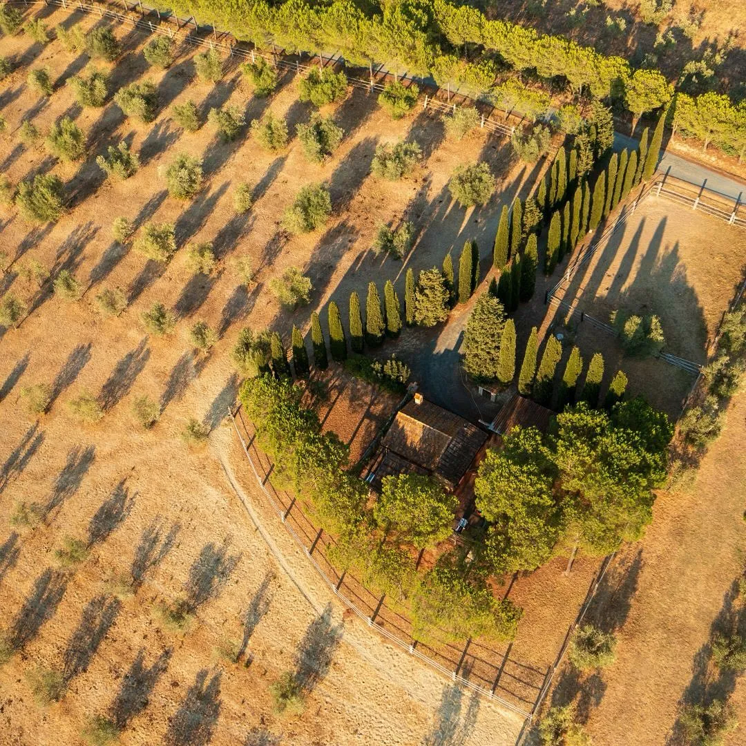 Passeggiata a cavallo sulle colline della Maremma Pisana