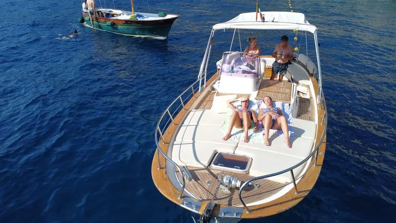 Escursione privata in barca di mezza giornata all'Isola di Capri