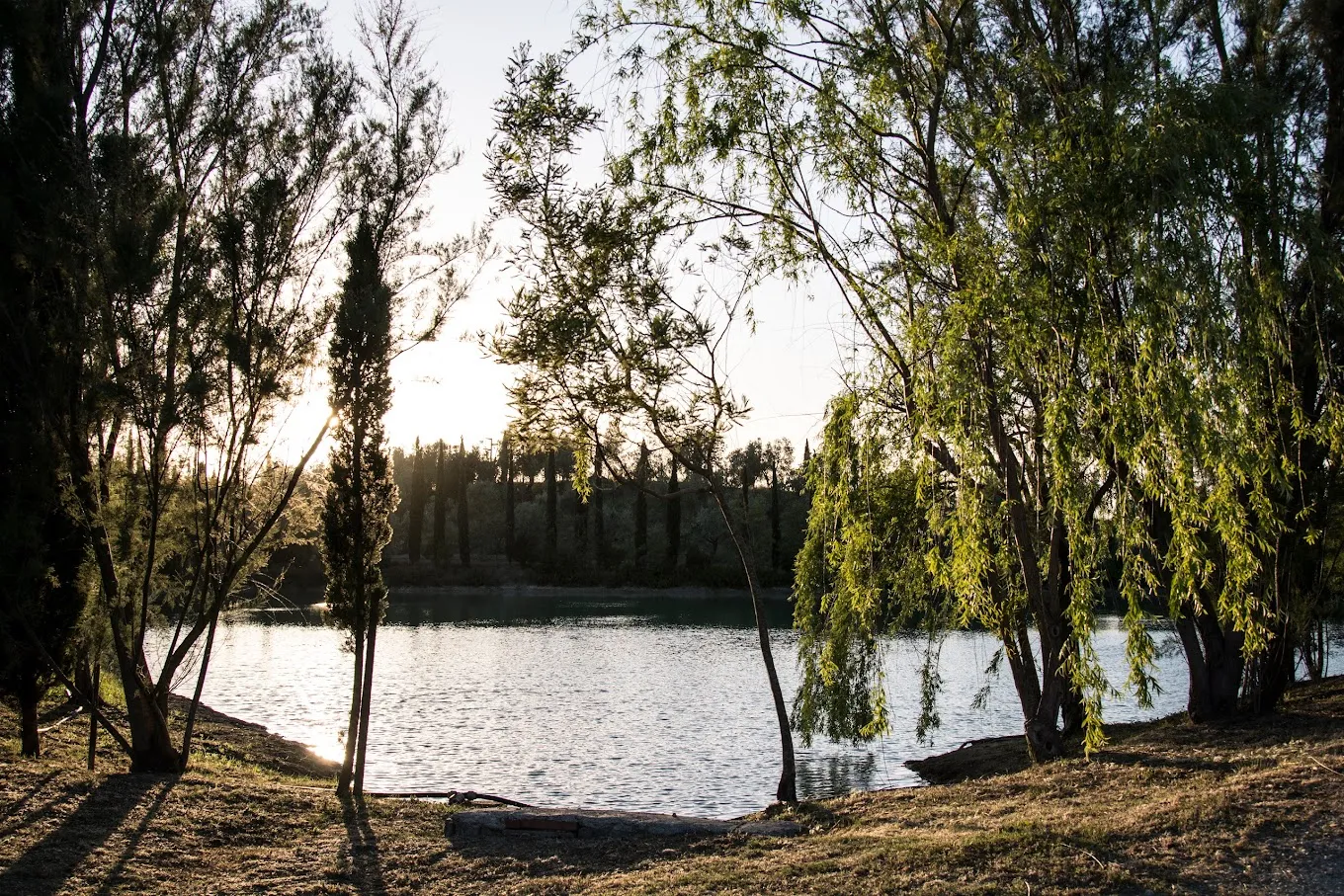 Tour dei vigneti con degustazione di vino e olio alla cantina La Chimera D'Albegna in provincia di Grosseto