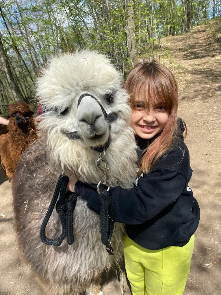 Passeggiata con alpaca e visita in fattoria a Carpineti sui colli Emiliani