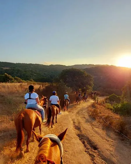 Passeggiata a cavallo in campagna nella Gallura