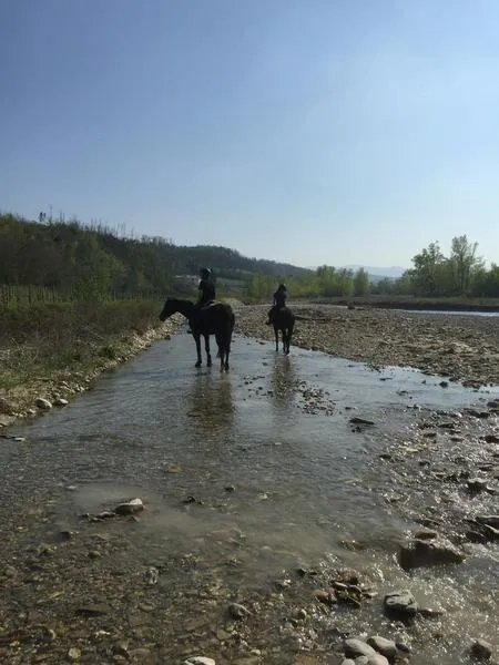 Passeggiata a cavallo sulle colline piacentine