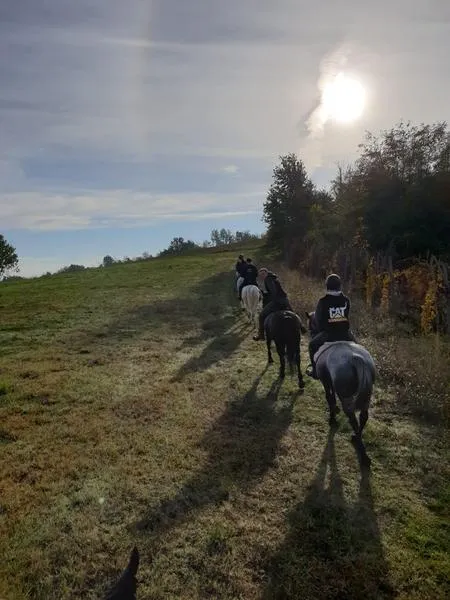 Passeggiata a cavallo sulle colline piacentine