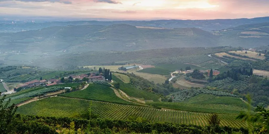 Degustazione Classica