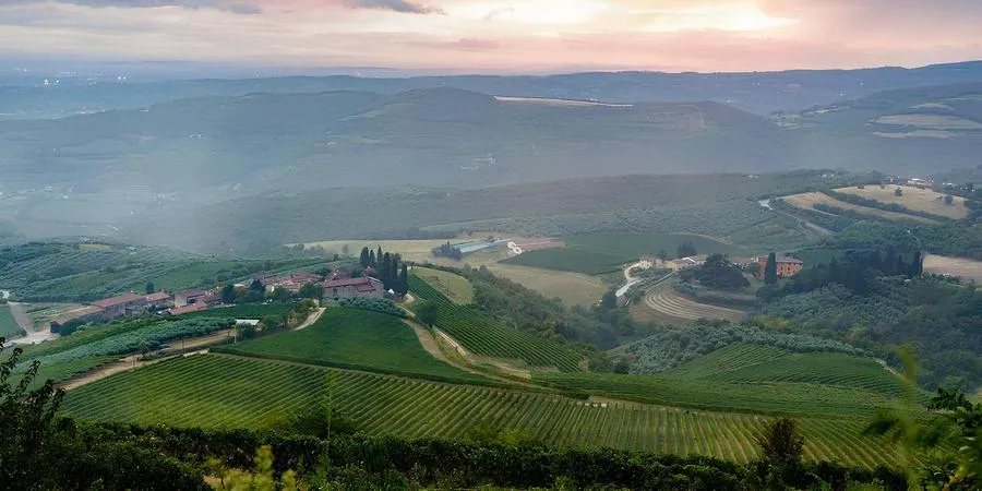 Degustazione vini e visita alle Tenute Ca' Botta in Valpolicella