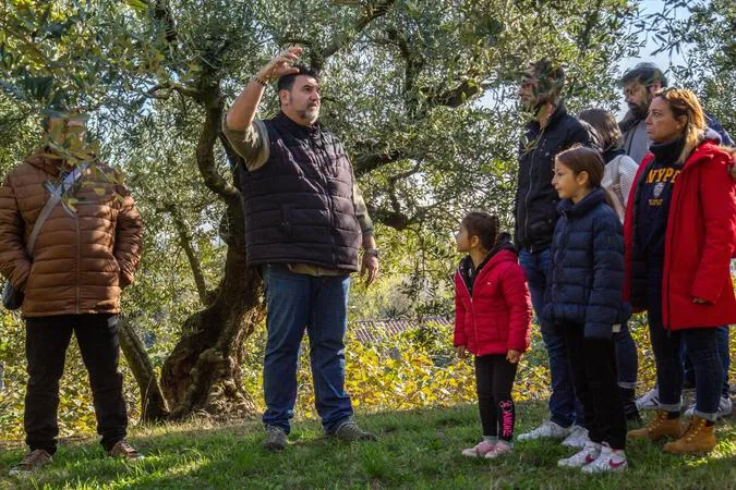 Visita all'uliveto e degustazione di olio sul Lago di Garda