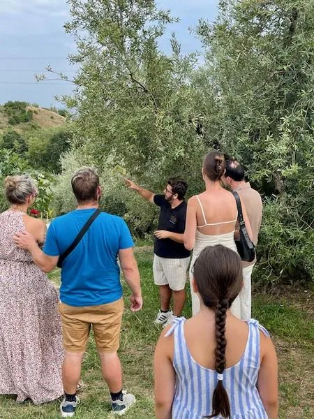 Visita all'uliveto e degustazione di olio sul Lago di Garda