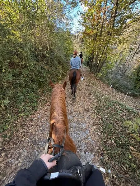 Passeggiata a cavallo sul Lago d'Iseo con degustazione di prodotti tipici