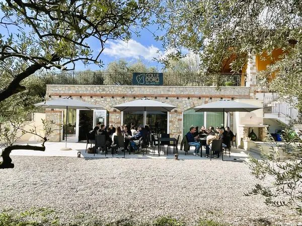 Aperitivo a base di olio extra vergine di oliva sul Lago di Garda