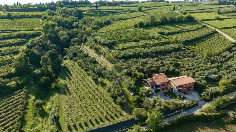 Extra virgin olive oil aperitif on Lake Garda