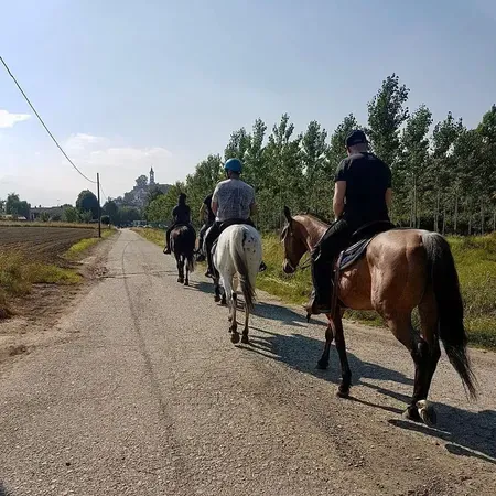 Passeggiata a cavallo sulle colline di Albiano d’Ivrea
