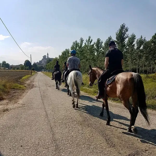 Passeggiata a cavallo sulle colline di Albiano d’Ivrea