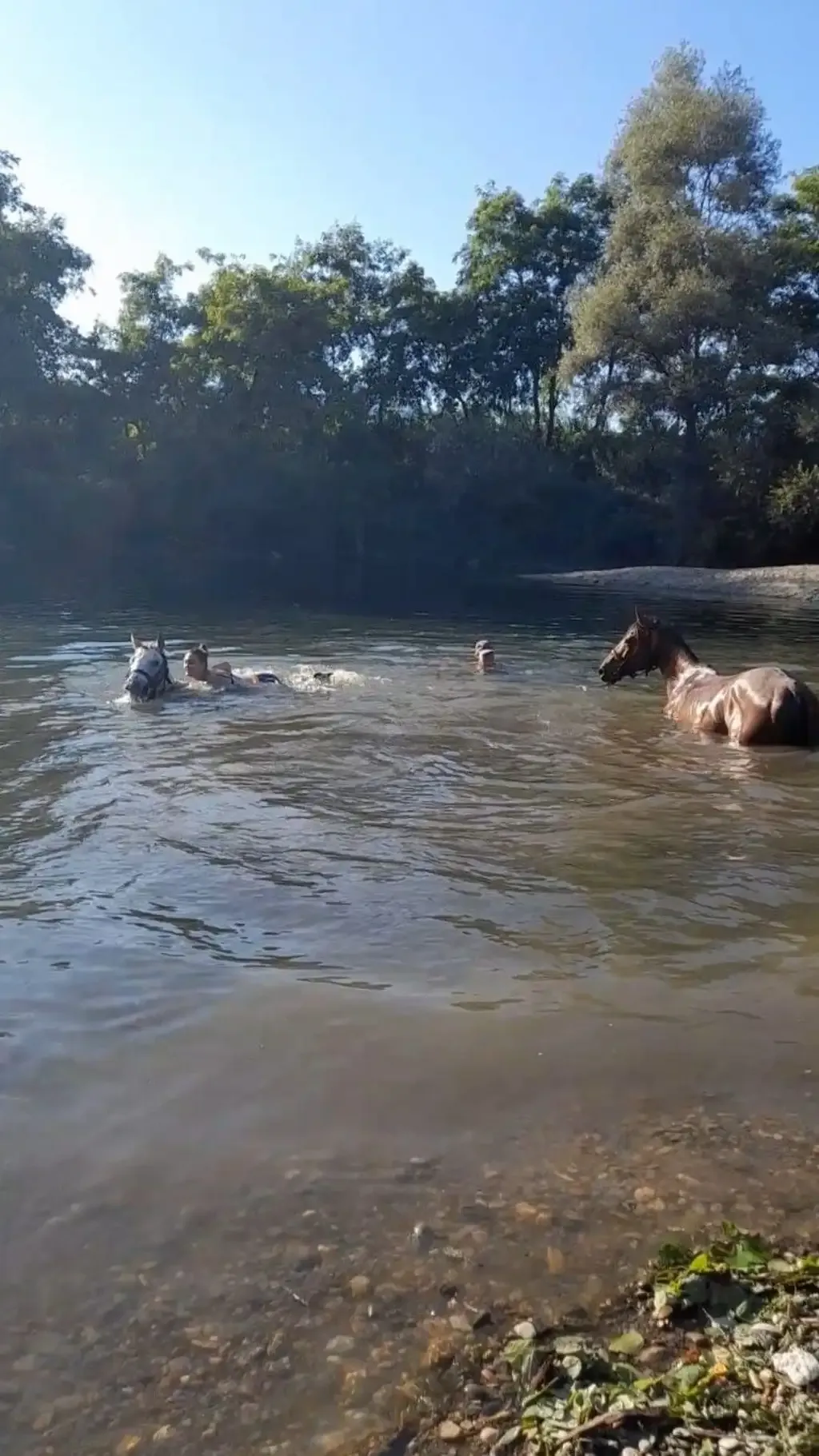 Giornata a cavallo alla piscina naturale di Albiano d’Ivrea
