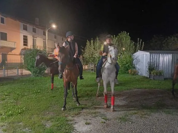 Escursione in notturna