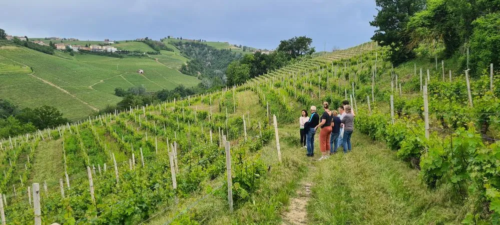 Wine tasting vigne eroiche nelle Langhe