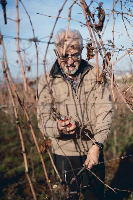 Evento di Degustazione Domenica 7 Dicembre - Degustazione di 3 vini (Copia)