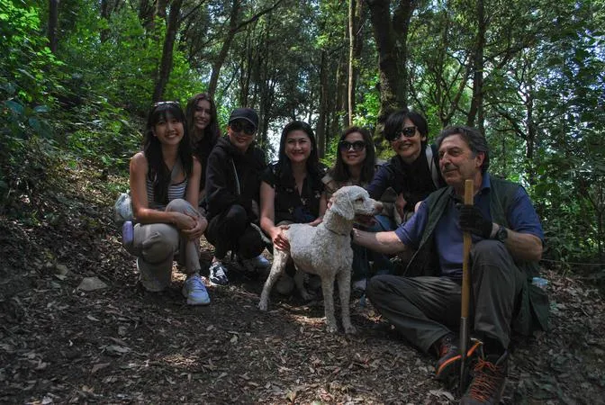 Truffle hunt with wine tasting and lunch in Arezzo