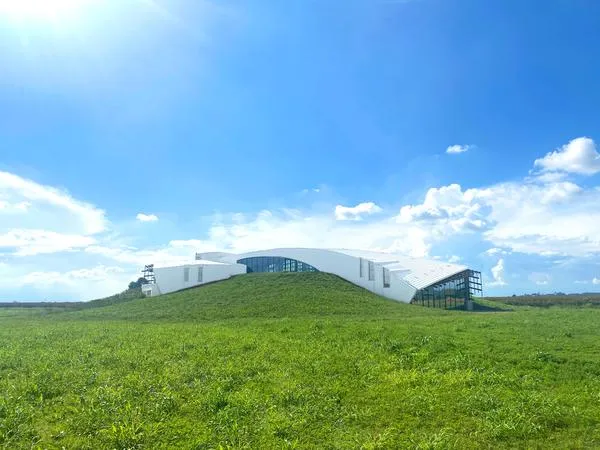 Degustazione vini e visita alla Cantina Luca Leggero a Villareggia