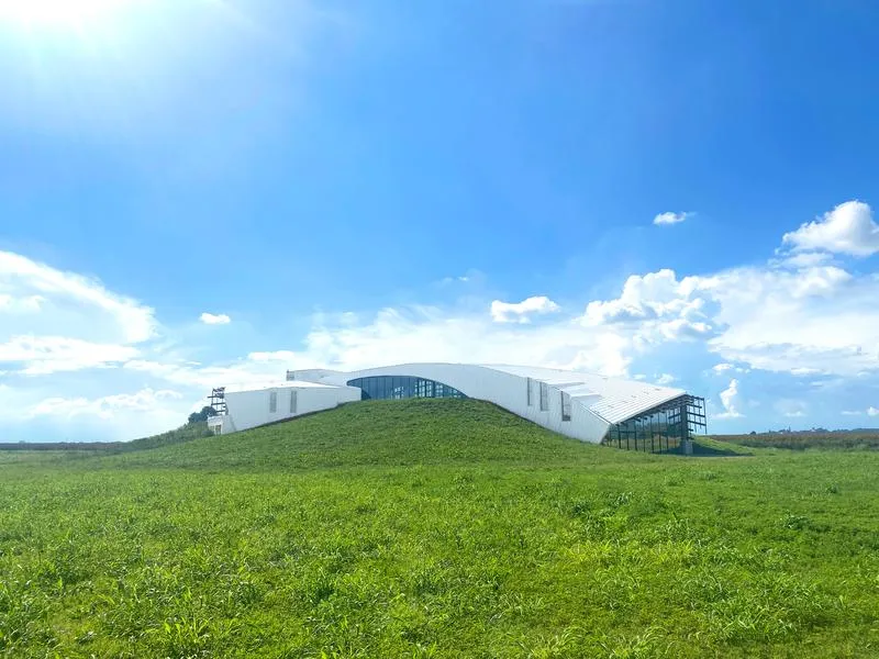 Degustazione vini e visita alla Cantina Luca Leggero a Villareggia
