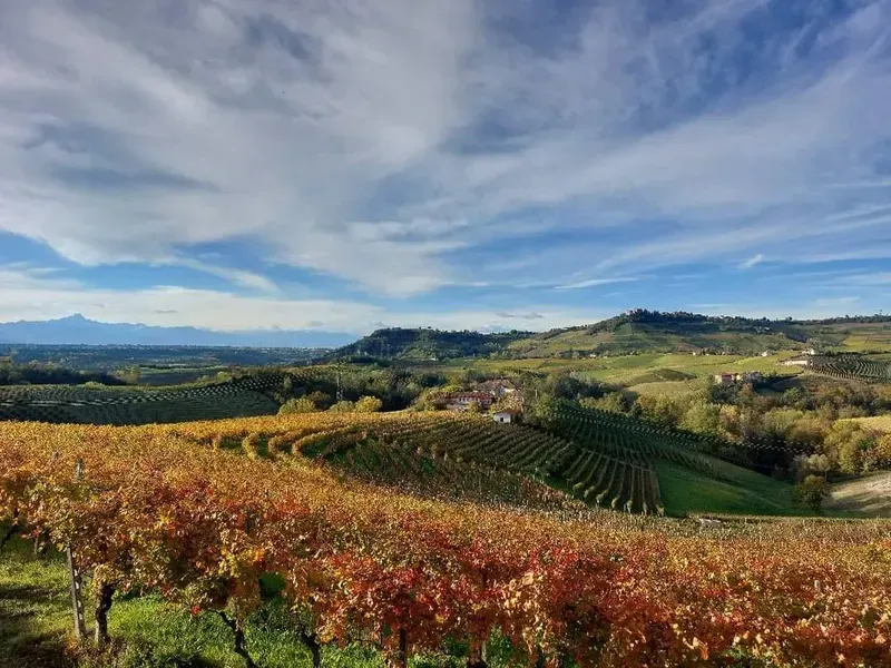 Degustazione vini e visita alla Cantina La Briacca nelle Langhe