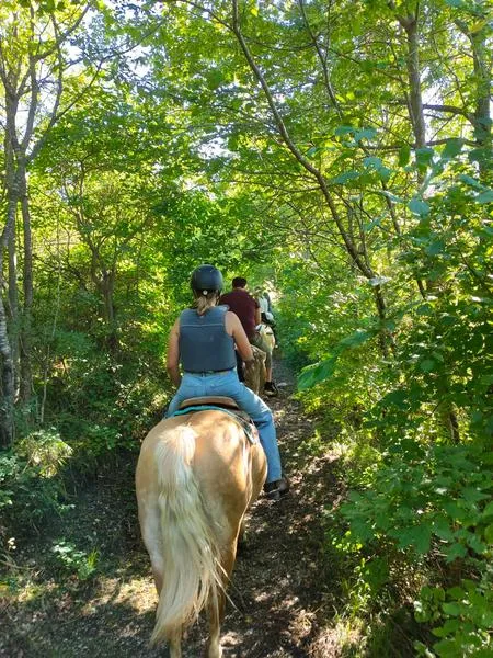 Passeggiata a cavallo nella Lessinia vicino Verona