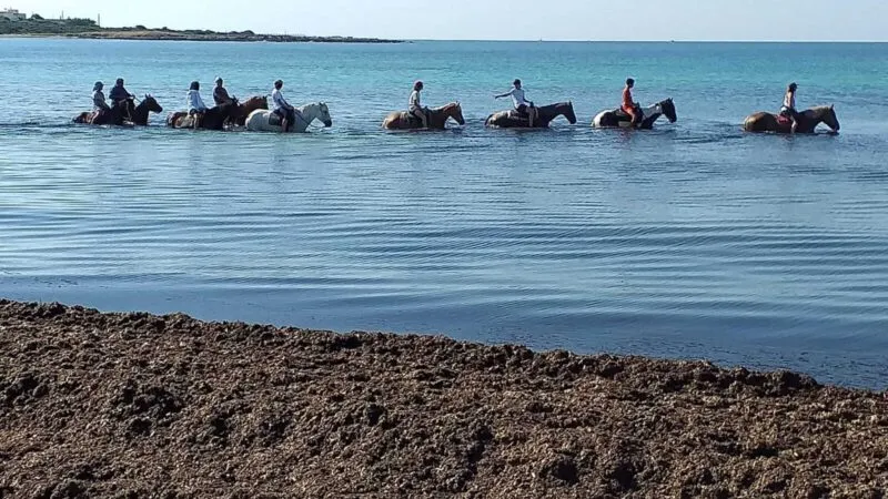 Passeggiata a cavallo in riva al mare a Porto Cesareo