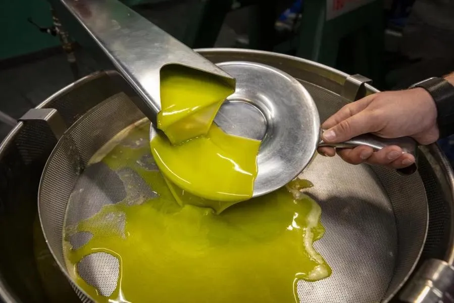 Degustazione di vino e olio con pranzo a San Gimignano