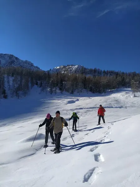 Ciaspolata di gruppo a Schilpario con guida