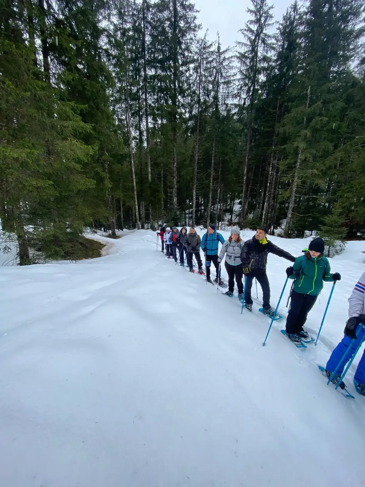 Ciaspolata di gruppo a Schilpario con guida