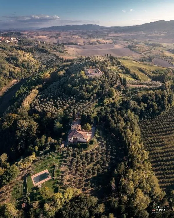 Visita all'Abbazia dell’XI secolo a Terricciola e pranzo con degustazione vini